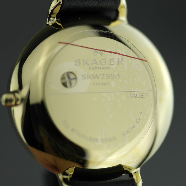 Skagen Hagen gold plated wrist watch with strap