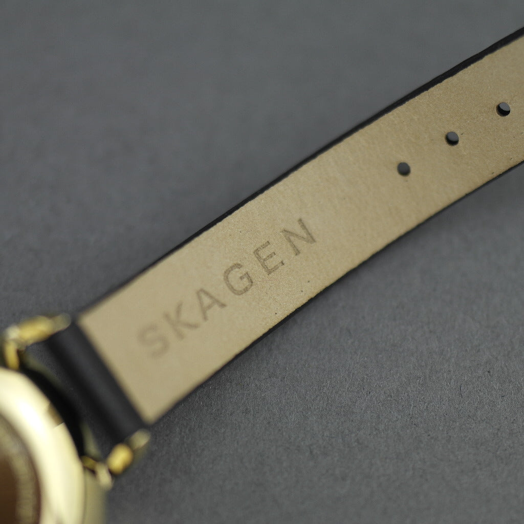 Reloj de pulsera Skagen Hagen chapado en oro con correa