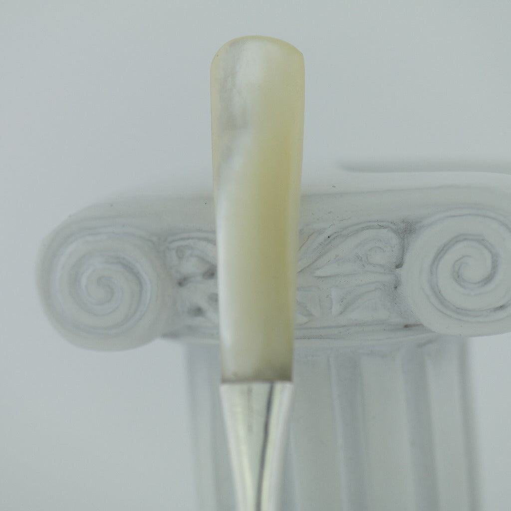 Antique 1923 sterling silver fork with Nacre / MOP handle Birmingham