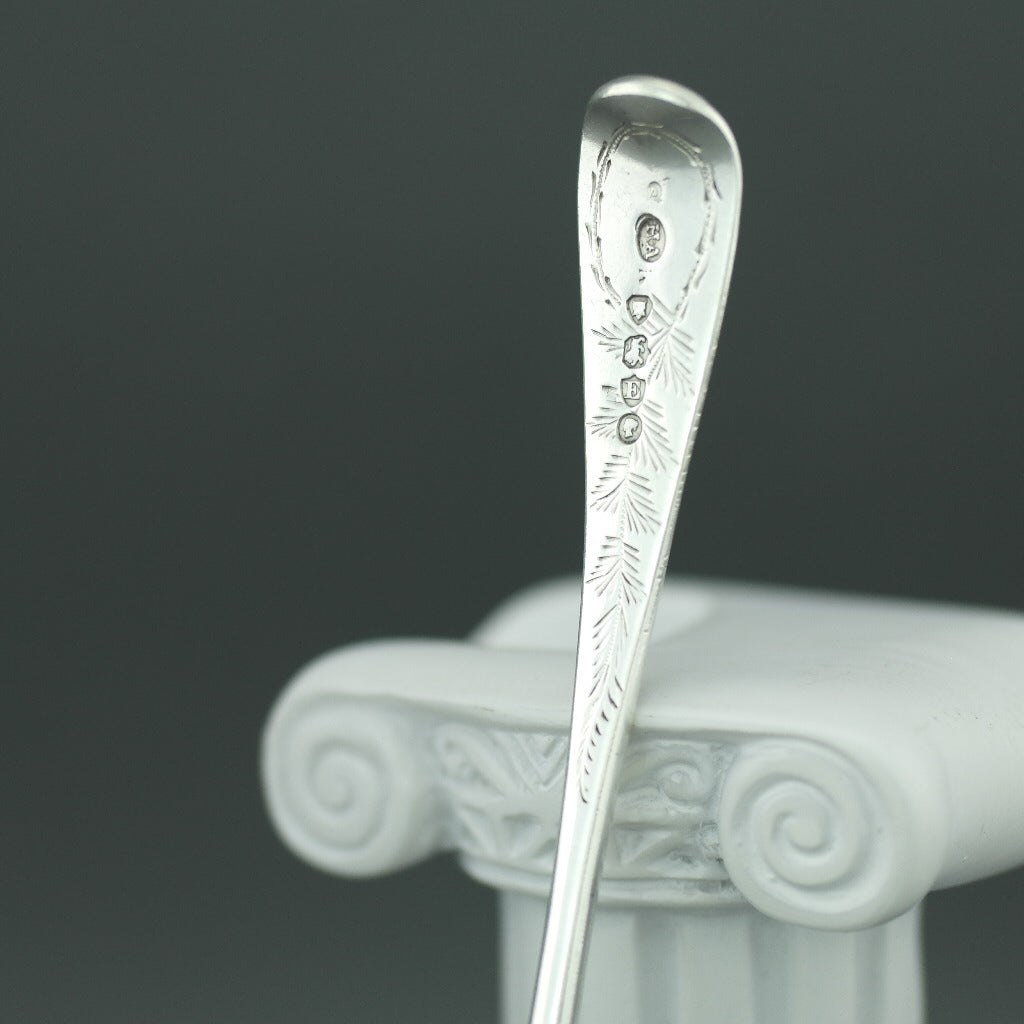 Cuchara antigua adornada de plata de ley de 1880 London Atkin Brothers