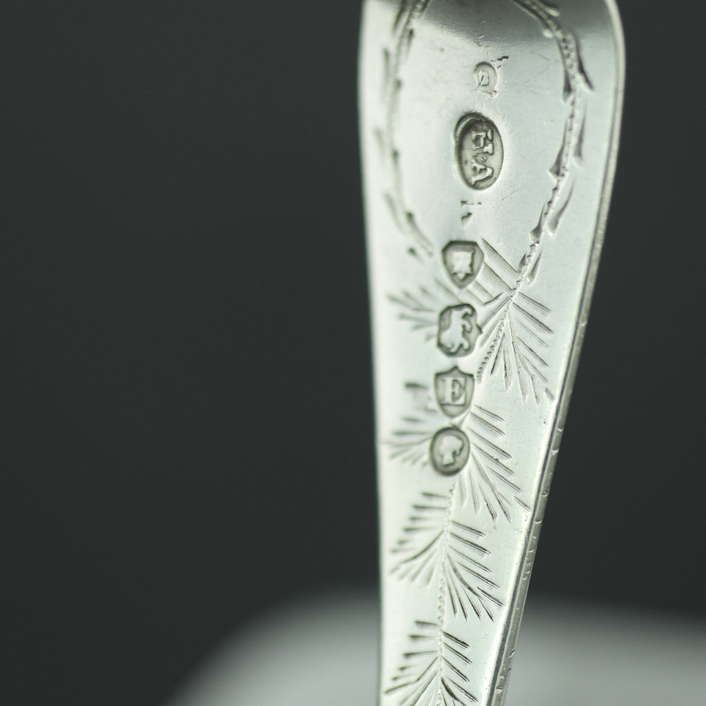 Cuchara antigua adornada de plata de ley de 1880 London Atkin Brothers