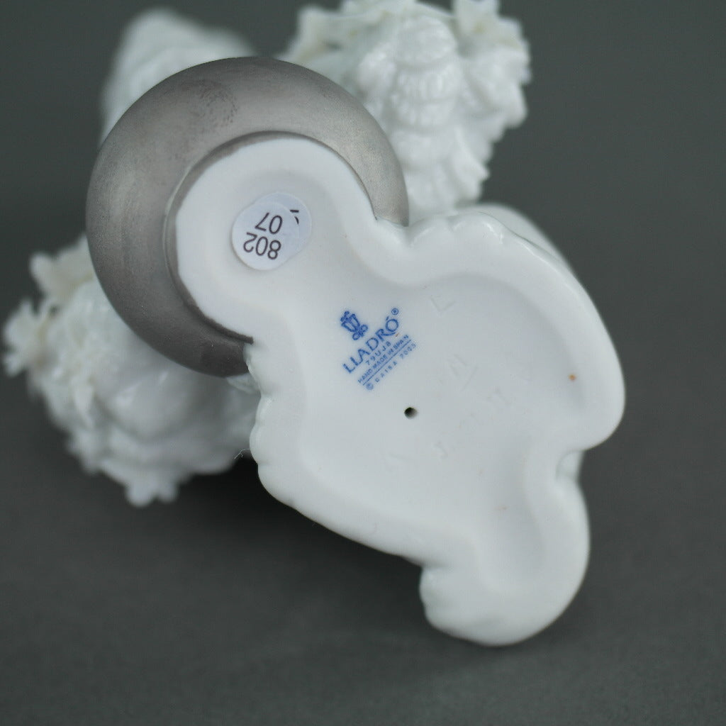 Lladro Take me home! (RE-DECO) from Daisa / Daisy Collection Porcelain figure