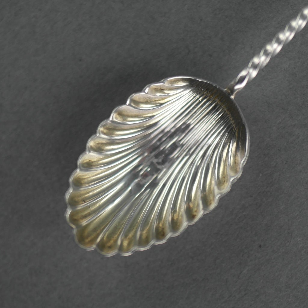 Cuchara antigua de plata de ley de 1898 William Devonport Apóstol y cuenco de concha