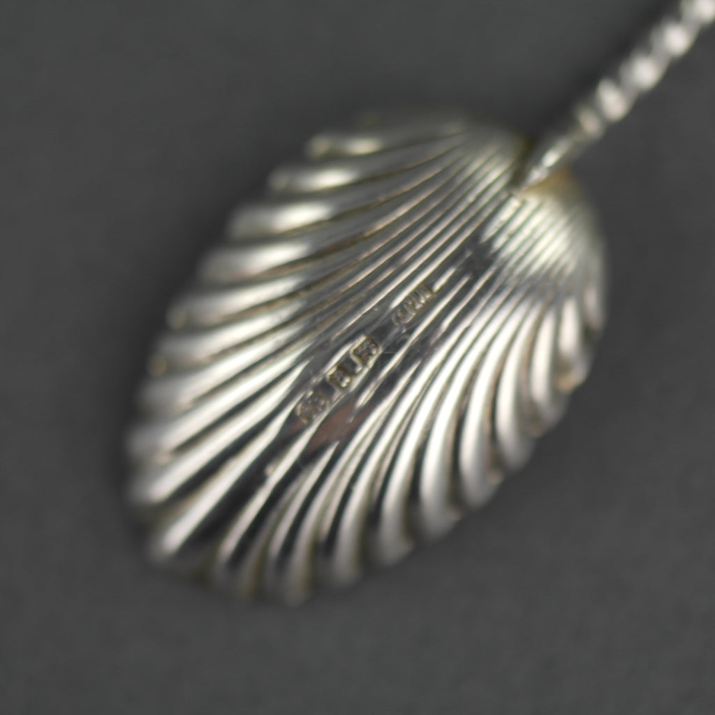 Cuchara antigua de plata de ley de 1898 William Devonport Apóstol y cuenco de concha
