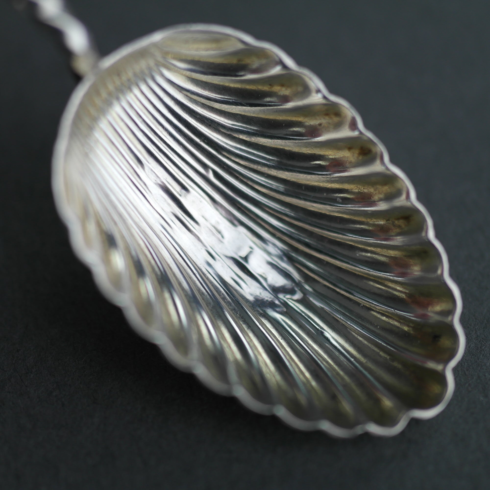 Cuchara antigua de plata de ley de 1898 William Devonport Apóstol y cuenco de concha